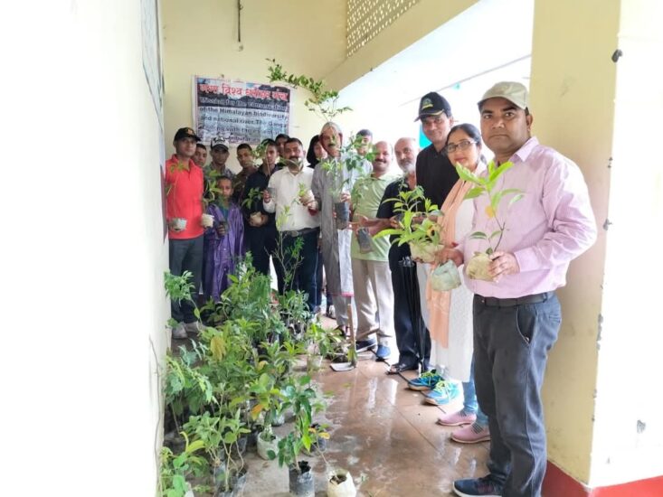महाविद्यालय परिसर में बना हर्बल गार्डन